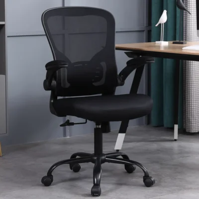 QandAHome-Regal Mesh Ergonomic Office Chair Office Adjustable Arm Chair